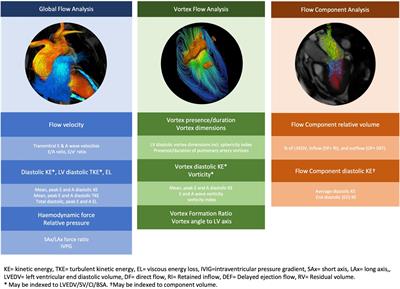 Four-dimensional flow cardiac magnetic resonance assessment of left ventricular diastolic function